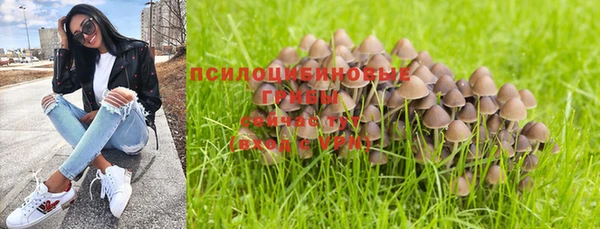 крисы Алексеевка